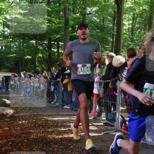 28.09.2025 - 33. Volkslauf durch das schöne Alstertal Strokosch-Dieckow http://msf.ph/oto/8960774 28.09.2025 10:50:37 Ziel 4146, 4164, 4902 meine-sportfotos.de