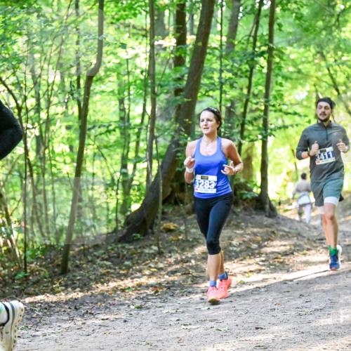 28.09.2025 - 33. Volkslauf durch das schöne Alstertal Dr. Thomas Lammeyer http://msf.ph/oto/8960785 28.09.2025 11:04:47 Laufen 31, 2, 3283 meine-sportfotos.de