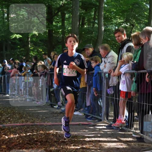 28.09.2025 - 33. Volkslauf durch das schöne Alstertal Strokosch-Dieckow http://msf.ph/oto/8960797 28.09.2025 10:50:39 Ziel 4902 meine-sportfotos.de
