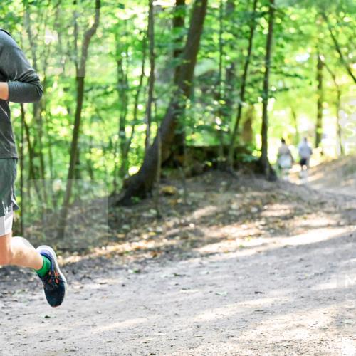 28.09.2025 - 33. Volkslauf durch das schöne Alstertal Dr. Thomas Lammeyer http://msf.ph/oto/8960801 28.09.2025 11:04:49 Laufen 3411 meine-sportfotos.de