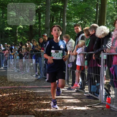 28.09.2025 - 33. Volkslauf durch das schöne Alstertal Strokosch-Dieckow http://msf.ph/oto/8960803 28.09.2025 10:50:40 Ziel 4902 meine-sportfotos.de