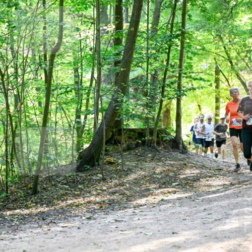 28.09.2025 - 33. Volkslauf durch das schöne Alstertal Dr. Thomas Lammeyer http://msf.ph/oto/8960804 28.09.2025 11:05:08 Laufen 13, 30, 3019 meine-sportfotos.de