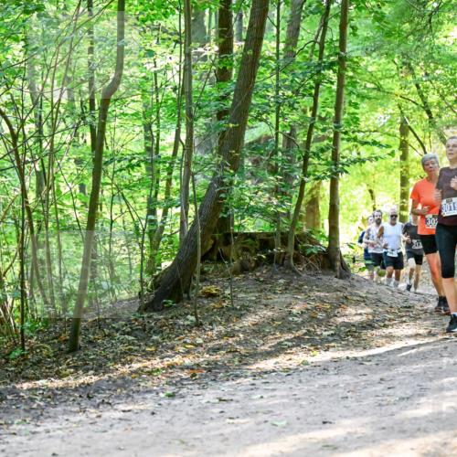 28.09.2025 - 33. Volkslauf durch das schöne Alstertal Dr. Thomas Lammeyer http://msf.ph/oto/8960805 28.09.2025 11:05:08 Laufen 3019, 30 meine-sportfotos.de
