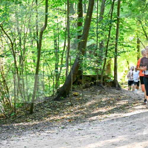 28.09.2025 - 33. Volkslauf durch das schöne Alstertal Dr. Thomas Lammeyer http://msf.ph/oto/8960806 28.09.2025 11:05:08 Laufen 3019, 3367 meine-sportfotos.de