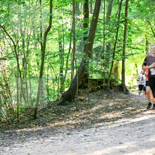 28.09.2025 - 33. Volkslauf durch das schöne Alstertal Dr. Thomas Lammeyer http://msf.ph/oto/8960807 28.09.2025 11:05:08 Laufen 3019, 3367 meine-sportfotos.de