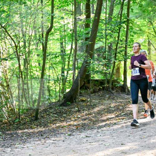 28.09.2025 - 33. Volkslauf durch das schöne Alstertal Dr. Thomas Lammeyer http://msf.ph/oto/8960811 28.09.2025 11:05:09 Laufen 3019, 3367 meine-sportfotos.de
