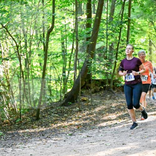 28.09.2025 - 33. Volkslauf durch das schöne Alstertal Dr. Thomas Lammeyer http://msf.ph/oto/8960812 28.09.2025 11:05:09 Laufen 3019, 024, 3367 meine-sportfotos.de