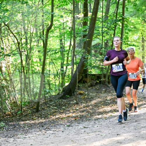 28.09.2025 - 33. Volkslauf durch das schöne Alstertal Dr. Thomas Lammeyer http://msf.ph/oto/8960814 28.09.2025 11:05:09 Laufen 3019, 3024, 3367 meine-sportfotos.de