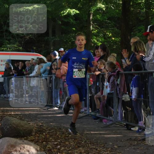 28.09.2025 - 33. Volkslauf durch das schöne Alstertal Strokosch-Dieckow http://msf.ph/oto/8960818 28.09.2025 10:50:48 Ziel 4002 meine-sportfotos.de