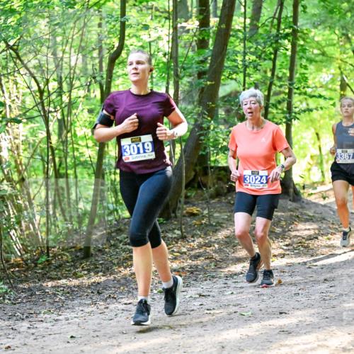28.09.2025 - 33. Volkslauf durch das schöne Alstertal Dr. Thomas Lammeyer http://msf.ph/oto/8960820 28.09.2025 11:05:10 Laufen 3019, 3024, 3367 meine-sportfotos.de