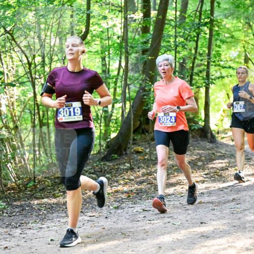 28.09.2025 - 33. Volkslauf durch das schöne Alstertal Dr. Thomas Lammeyer http://msf.ph/oto/8960821 28.09.2025 11:05:10 Laufen 3019, 3024, 3367 meine-sportfotos.de