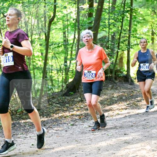 28.09.2025 - 33. Volkslauf durch das schöne Alstertal Dr. Thomas Lammeyer http://msf.ph/oto/8960823 28.09.2025 11:05:10 Laufen 3019, 20, 3024, 3367 meine-sportfotos.de