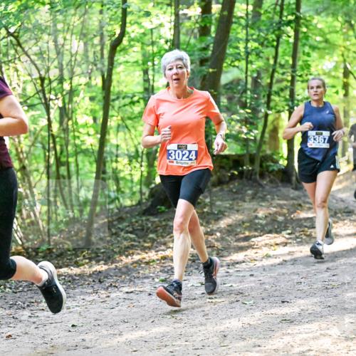 28.09.2025 - 33. Volkslauf durch das schöne Alstertal Dr. Thomas Lammeyer http://msf.ph/oto/8960824 28.09.2025 11:05:10 Laufen 3019, 3024, 3367 meine-sportfotos.de