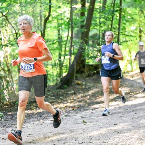 28.09.2025 - 33. Volkslauf durch das schöne Alstertal Dr. Thomas Lammeyer http://msf.ph/oto/8960827 28.09.2025 11:05:10 Laufen 3024 meine-sportfotos.de