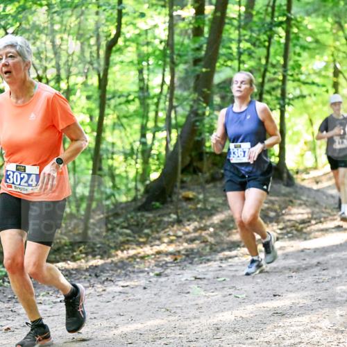 28.09.2025 - 33. Volkslauf durch das schöne Alstertal Dr. Thomas Lammeyer http://msf.ph/oto/8960828 28.09.2025 11:05:11 Laufen 3024, 3367 meine-sportfotos.de
