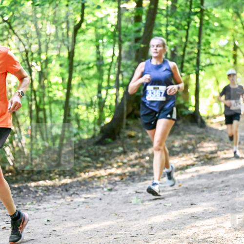 28.09.2025 - 33. Volkslauf durch das schöne Alstertal Dr. Thomas Lammeyer http://msf.ph/oto/8960830 28.09.2025 11:05:11 Laufen 3024 meine-sportfotos.de