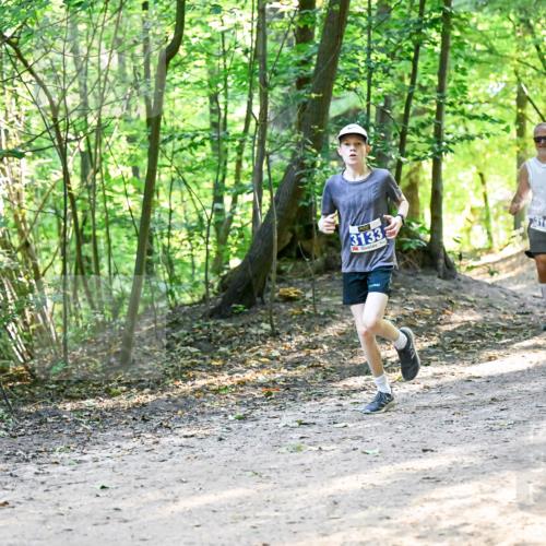 28.09.2025 - 33. Volkslauf durch das schöne Alstertal Dr. Thomas Lammeyer http://msf.ph/oto/8960836 28.09.2025 11:05:12 Laufen 3133, 3190, 3046 meine-sportfotos.de