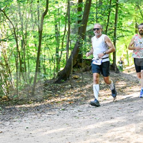 28.09.2025 - 33. Volkslauf durch das schöne Alstertal Dr. Thomas Lammeyer http://msf.ph/oto/8960845 28.09.2025 11:05:13 Laufen 90, 3046 meine-sportfotos.de