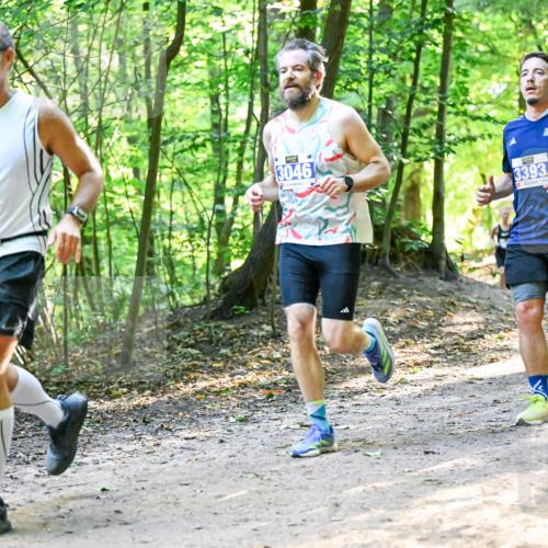 28.09.2025 - 33. Volkslauf durch das schöne Alstertal Dr. Thomas Lammeyer http://msf.ph/oto/8960853 28.09.2025 11:05:14 Laufen 90, 3046, 3393 meine-sportfotos.de