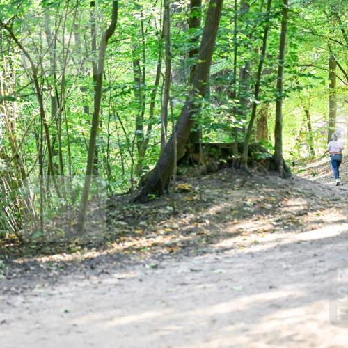 28.09.2025 - 33. Volkslauf durch das schöne Alstertal Dr. Thomas Lammeyer http://msf.ph/oto/8960865 28.09.2025 11:05:16 Laufen  meine-sportfotos.de