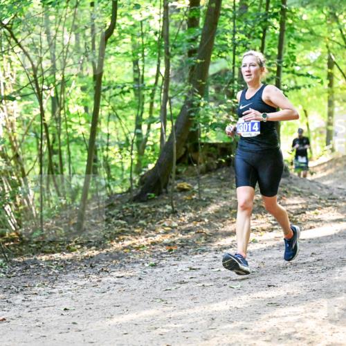 28.09.2025 - 33. Volkslauf durch das schöne Alstertal Dr. Thomas Lammeyer http://msf.ph/oto/8960867 28.09.2025 11:05:20 Laufen 3014 meine-sportfotos.de