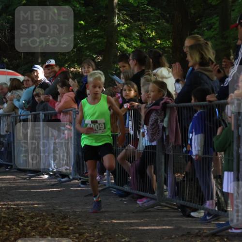 28.09.2025 - 33. Volkslauf durch das schöne Alstertal Strokosch-Dieckow http://msf.ph/oto/8960868 28.09.2025 10:51:06 Ziel 4009 meine-sportfotos.de