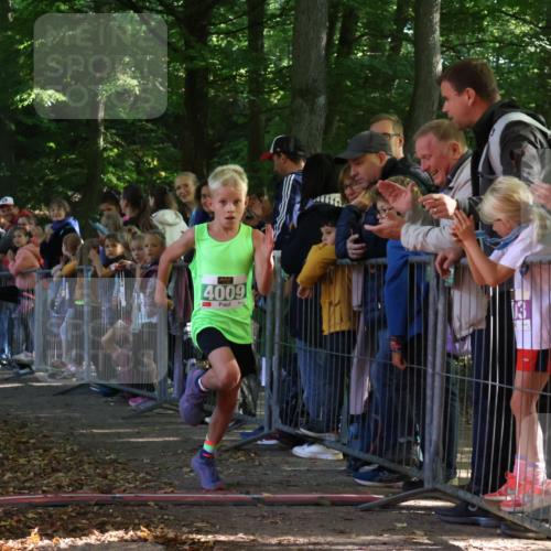 28.09.2025 - 33. Volkslauf durch das schöne Alstertal Strokosch-Dieckow http://msf.ph/oto/8960879 28.09.2025 10:51:07 Ziel 4009 meine-sportfotos.de