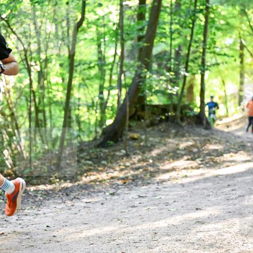 28.09.2025 - 33. Volkslauf durch das schöne Alstertal Dr. Thomas Lammeyer http://msf.ph/oto/8960886 28.09.2025 11:05:28 Laufen 2023, 3335 meine-sportfotos.de