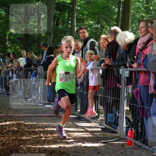 28.09.2025 - 33. Volkslauf durch das schöne Alstertal Strokosch-Dieckow http://msf.ph/oto/8960887 28.09.2025 10:51:07 Ziel 4009 meine-sportfotos.de