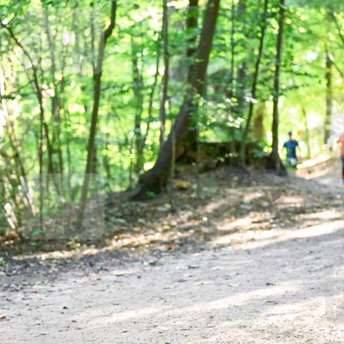 28.09.2025 - 33. Volkslauf durch das schöne Alstertal Dr. Thomas Lammeyer http://msf.ph/oto/8960888 28.09.2025 11:05:28 Laufen  meine-sportfotos.de