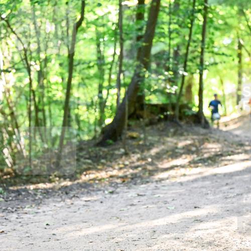 28.09.2025 - 33. Volkslauf durch das schöne Alstertal Dr. Thomas Lammeyer http://msf.ph/oto/8960889 28.09.2025 11:05:28 Laufen  meine-sportfotos.de
