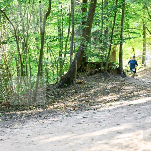28.09.2025 - 33. Volkslauf durch das schöne Alstertal Dr. Thomas Lammeyer http://msf.ph/oto/8960890 28.09.2025 11:05:29 Laufen 3907 meine-sportfotos.de