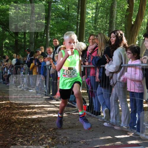 28.09.2025 - 33. Volkslauf durch das schöne Alstertal Strokosch-Dieckow http://msf.ph/oto/8960895 28.09.2025 10:51:08 Ziel 4009 meine-sportfotos.de