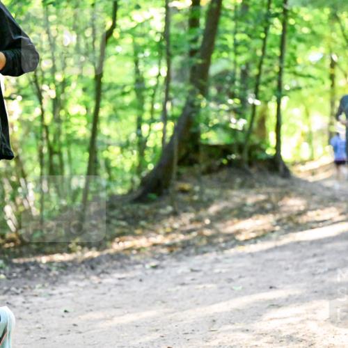 28.09.2025 - 33. Volkslauf durch das schöne Alstertal Dr. Thomas Lammeyer http://msf.ph/oto/8960913 28.09.2025 11:05:33 Laufen 3042 meine-sportfotos.de