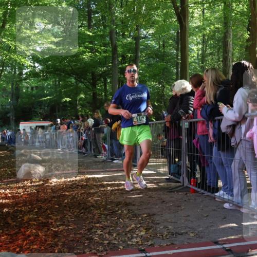 28.09.2025 - 33. Volkslauf durch das schöne Alstertal Strokosch-Dieckow http://msf.ph/oto/8960925 28.09.2025 10:51:24 Ziel 4163 meine-sportfotos.de