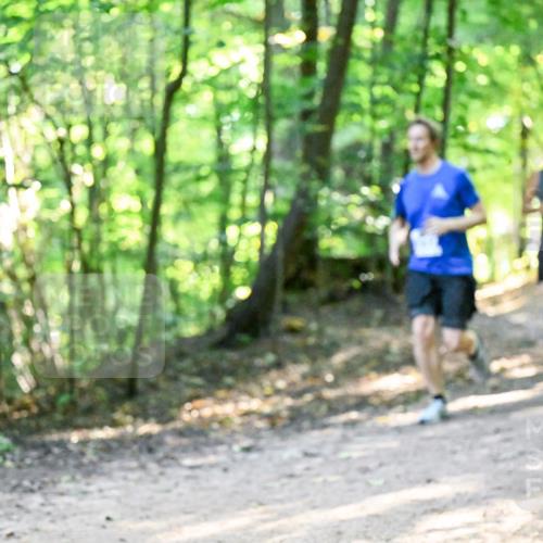 28.09.2025 - 33. Volkslauf durch das schöne Alstertal Dr. Thomas Lammeyer http://msf.ph/oto/8960927 28.09.2025 11:05:47 Laufen  meine-sportfotos.de