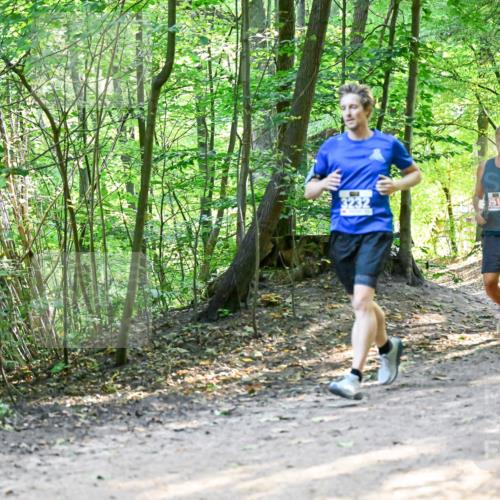 28.09.2025 - 33. Volkslauf durch das schöne Alstertal Dr. Thomas Lammeyer http://msf.ph/oto/8960928 28.09.2025 11:05:47 Laufen 2519, 3041, 3941 meine-sportfotos.de