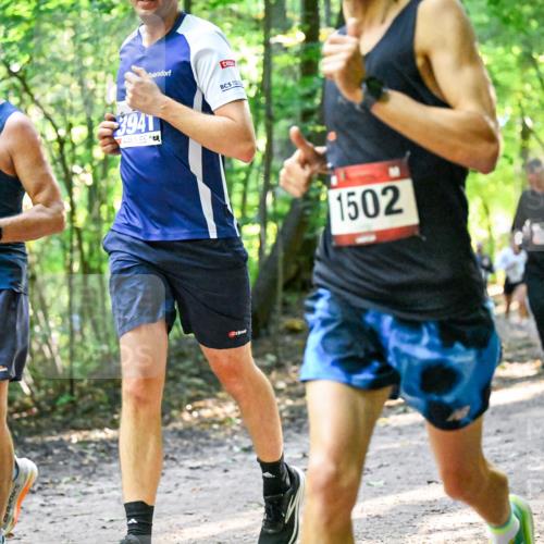 28.09.2025 - 33. Volkslauf durch das schöne Alstertal Dr. Thomas Lammeyer http://msf.ph/oto/8960948 28.09.2025 11:05:50 Laufen 519, 3941, 1502 meine-sportfotos.de