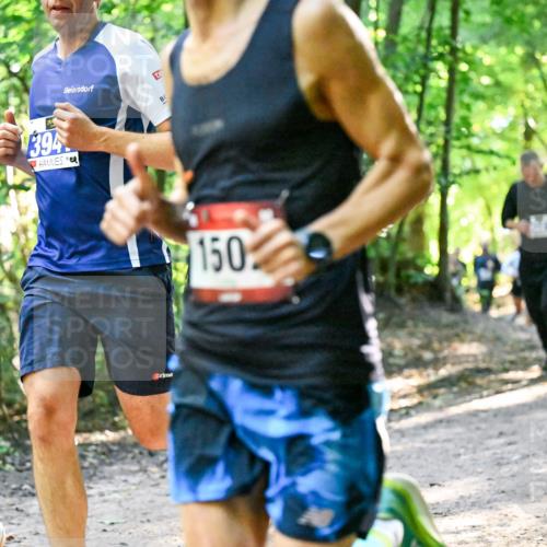 28.09.2025 - 33. Volkslauf durch das schöne Alstertal Dr. Thomas Lammeyer http://msf.ph/oto/8960950 28.09.2025 11:05:50 Laufen 394, 150 meine-sportfotos.de