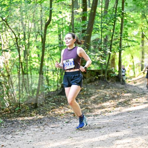 28.09.2025 - 33. Volkslauf durch das schöne Alstertal Dr. Thomas Lammeyer http://msf.ph/oto/8960967 28.09.2025 11:05:53 Laufen 3223 meine-sportfotos.de
