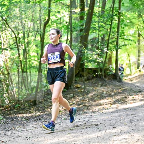 28.09.2025 - 33. Volkslauf durch das schöne Alstertal Dr. Thomas Lammeyer http://msf.ph/oto/8960969 28.09.2025 11:05:53 Laufen 3223 meine-sportfotos.de
