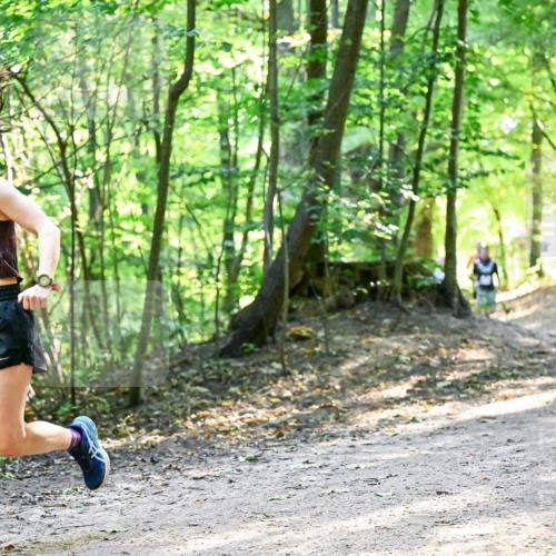28.09.2025 - 33. Volkslauf durch das schöne Alstertal Dr. Thomas Lammeyer http://msf.ph/oto/8960972 28.09.2025 11:05:54 Laufen 223 meine-sportfotos.de