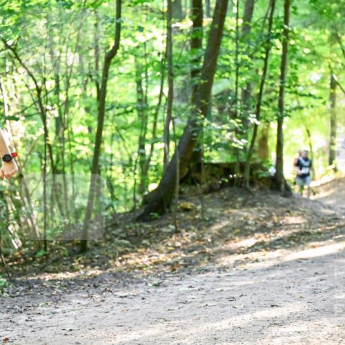 28.09.2025 - 33. Volkslauf durch das schöne Alstertal Dr. Thomas Lammeyer http://msf.ph/oto/8960974 28.09.2025 11:05:54 Laufen 3223 meine-sportfotos.de