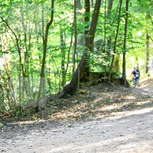 28.09.2025 - 33. Volkslauf durch das schöne Alstertal Dr. Thomas Lammeyer http://msf.ph/oto/8960975 28.09.2025 11:05:54 Laufen  meine-sportfotos.de