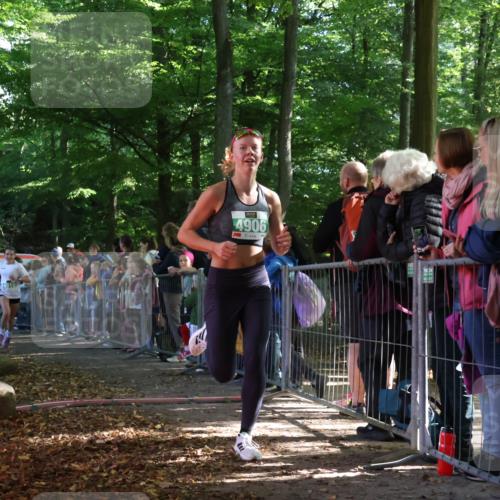 28.09.2025 - 33. Volkslauf durch das schöne Alstertal Strokosch-Dieckow http://msf.ph/oto/8961032 28.09.2025 10:52:14 Ziel 4906, 4910, 4918 meine-sportfotos.de