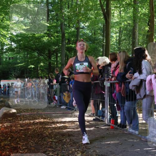 28.09.2025 - 33. Volkslauf durch das schöne Alstertal Strokosch-Dieckow http://msf.ph/oto/8961039 28.09.2025 10:52:15 Ziel 4118, 4906, 4910, 4918 meine-sportfotos.de