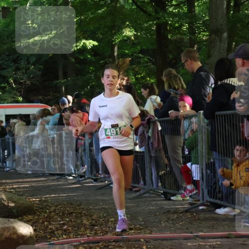 28.09.2025 - 33. Volkslauf durch das schöne Alstertal Strokosch-Dieckow http://msf.ph/oto/8961045 28.09.2025 10:52:16 Ziel 4118, 4910, 4918 meine-sportfotos.de