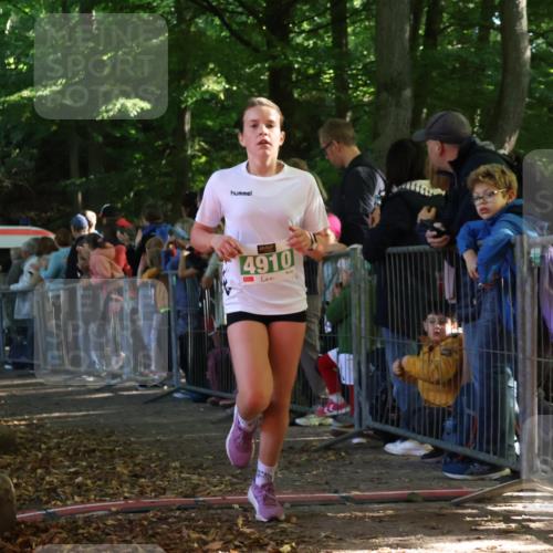 28.09.2025 - 33. Volkslauf durch das schöne Alstertal Strokosch-Dieckow http://msf.ph/oto/8961049 28.09.2025 10:52:16 Ziel 4118, 4910, 4918 meine-sportfotos.de