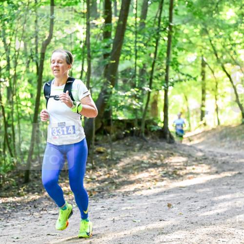 28.09.2025 - 33. Volkslauf durch das schöne Alstertal Dr. Thomas Lammeyer http://msf.ph/oto/8961056 28.09.2025 11:06:09 Laufen 3314 meine-sportfotos.de