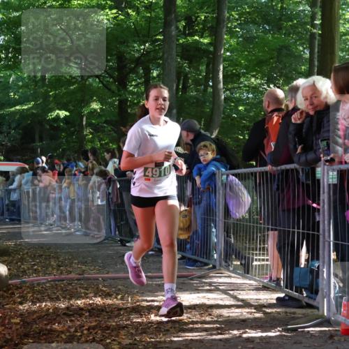 28.09.2025 - 33. Volkslauf durch das schöne Alstertal Strokosch-Dieckow http://msf.ph/oto/8961058 28.09.2025 10:52:17 Ziel 4118, 4910, 4918 meine-sportfotos.de